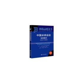 冰球运动蓝皮书：中国冰球运动发展报告（2019～2020）