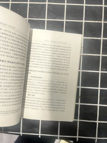 “股权溢价之谜”研究：资产定价、风险偏好、效用函数的分析