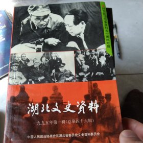 湖北文史资料 一九九五年第一辑