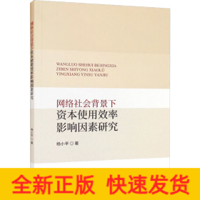 网络社会背景下资本使用效率影响因素研究