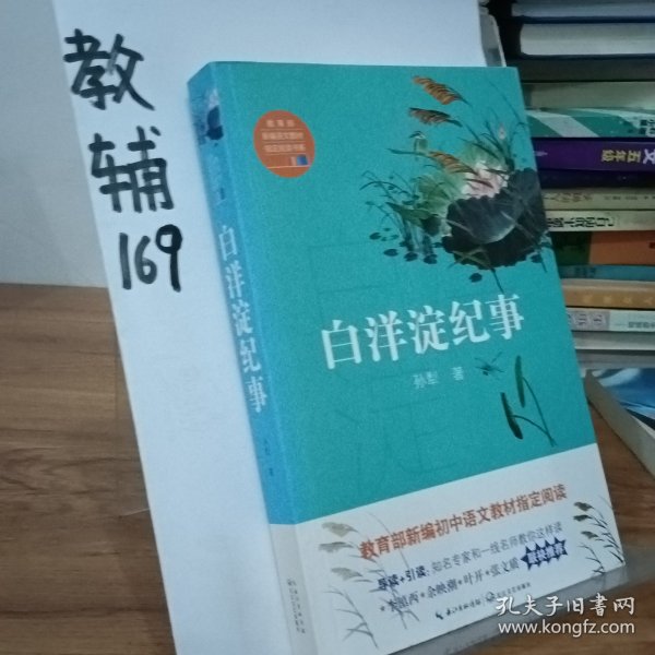 白洋淀纪事（教育部新编语文教材指定阅读书系）