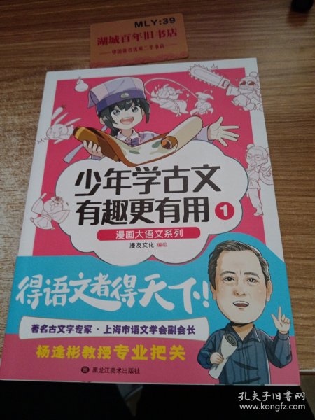 漫画大语文系列：少年学古文 有趣更有用1