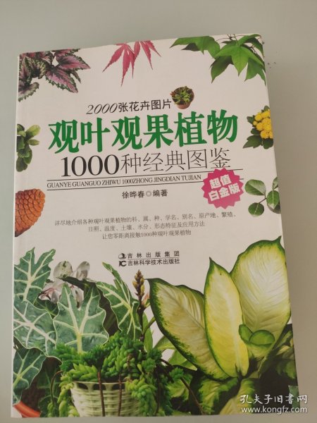 观叶观果植物1000种经典图鉴（超值白金版）