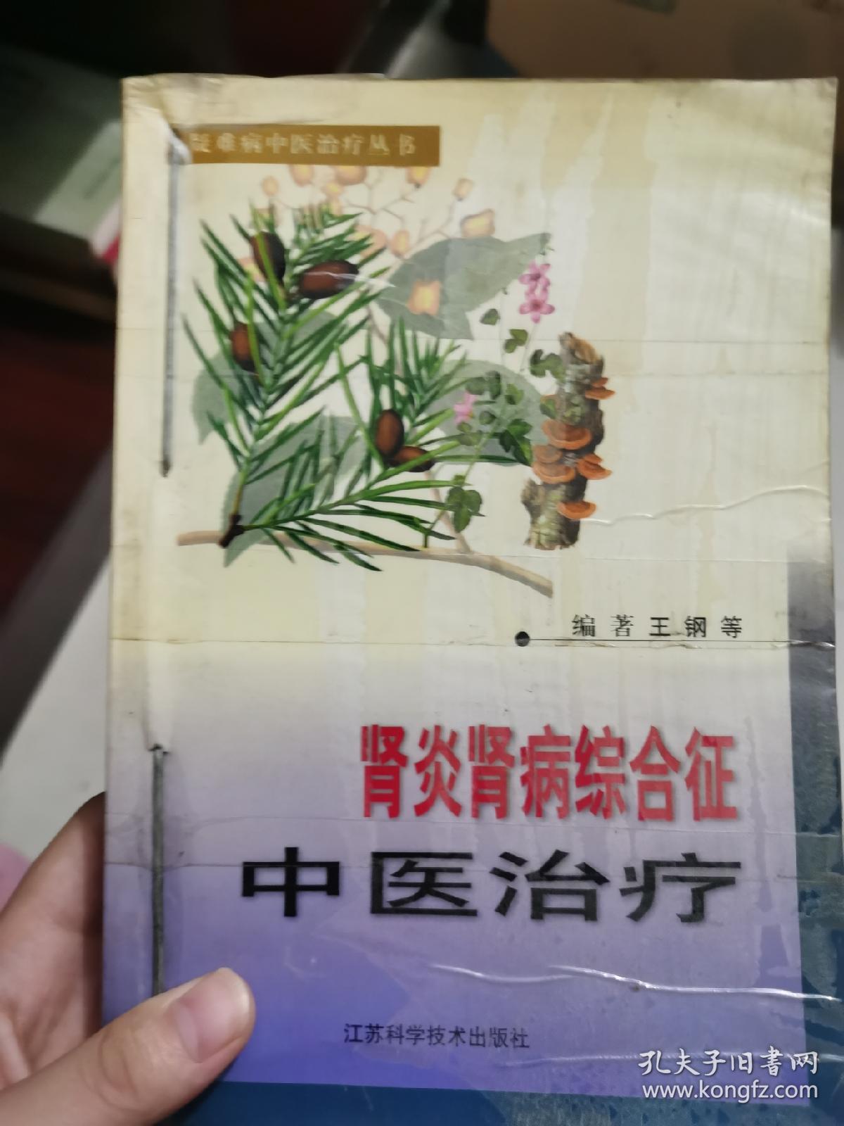 肾炎肾病综合征中医治疗