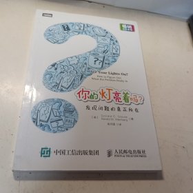 你的灯亮着吗?：发现问题的真正所在【全新品质】