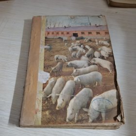 中国畜牧兽医1960 2-13