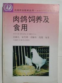肉鸽饲养及食用