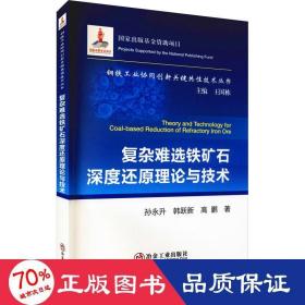 复杂难选铁矿石深度还原理论与技术/钢铁工业协同创新关键共性技术丛书