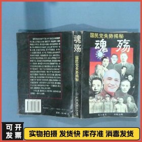 魂殇 国民党失势揭秘  继山 中国友谊出版公司