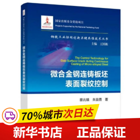 微合金钢连铸板坯表面裂纹控制/钢铁工业协同创新关键共性技术丛书