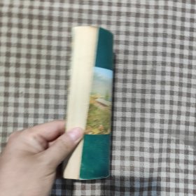 大理风情录