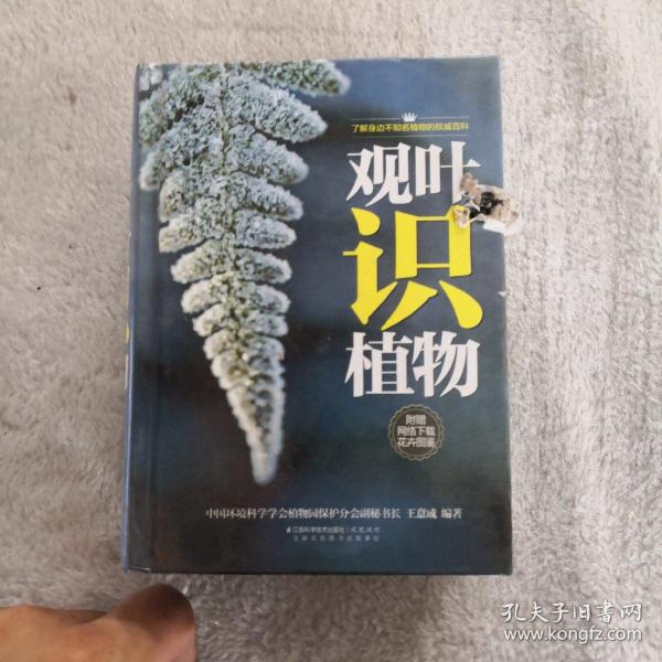 观叶识植物（汉竹）