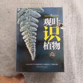 观叶识植物（汉竹）