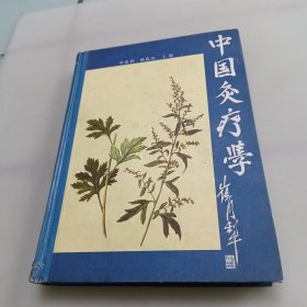 中国灸疗学