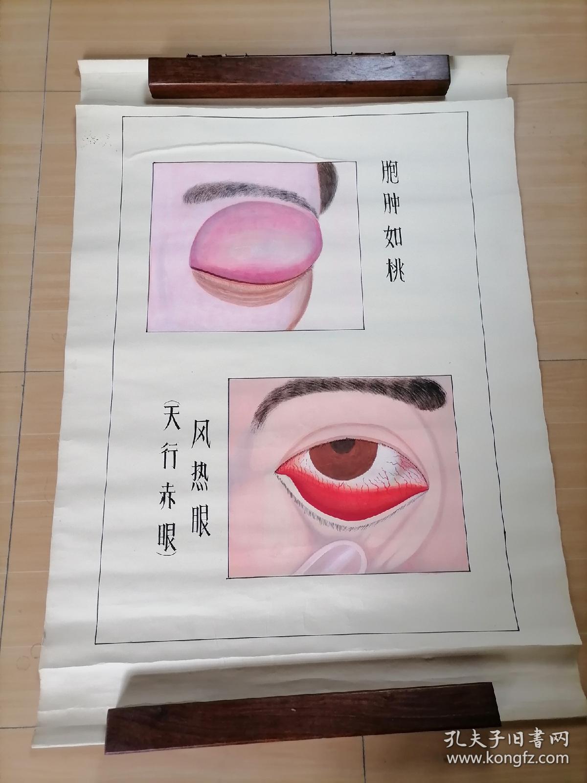 医学主题手绘图（B）大幅，适宜诊所医院悬挂展示，本件单卖（几件全要可优惠）