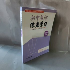 思维训练·初中数学深度学习九年级下册