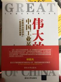 伟大的中国工业革命：“发展政治经济学”一般原理批判纲要