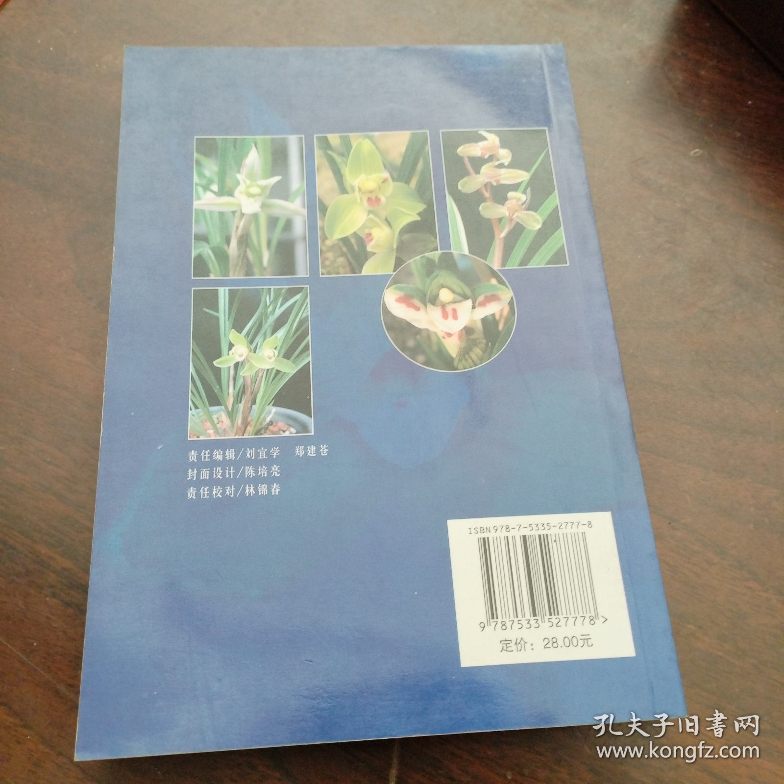 养兰小经验小窍门