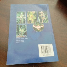 养兰小经验小窍门