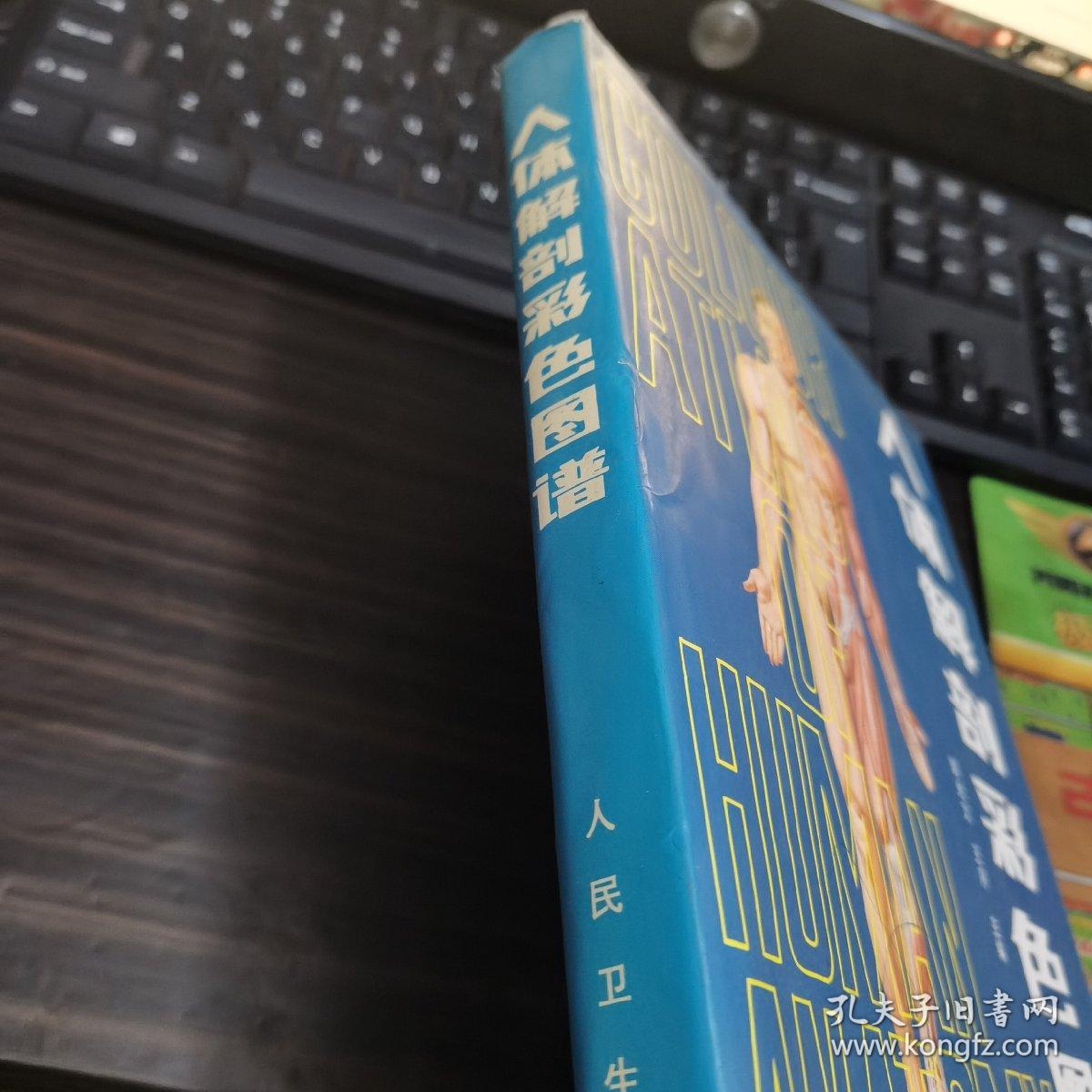 人体解剖彩色图谱