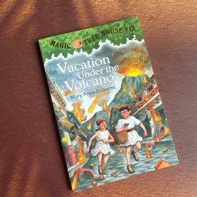 Vacation Under the Volcano