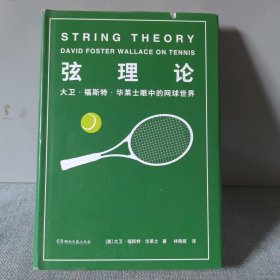 弦理论：大卫·福斯特·华莱士眼中的网球世界（比尔·盖茨年度推荐好书）