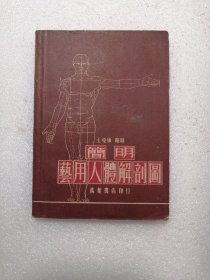 简明艺用人体解剖图