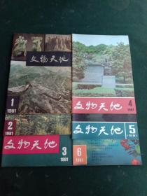 文物天地1981年第1，2.3.4、5、6 共六本