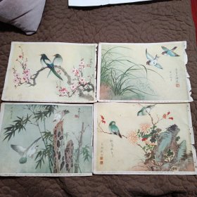 50年代16开画片 梅兰竹菊