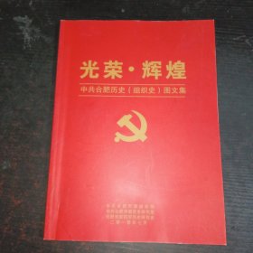 光荣·辉煌 中共合肥历史（组织史）图文集