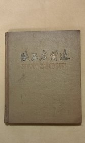 陕西在前进 画册完整1册：（长安美术社编辑，1959年初版，10开本，封皮93品内页97-99品）