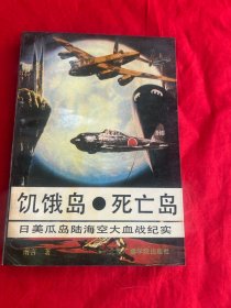 饥饿岛 死亡岛——日美瓜岛陆海空大血战纪实