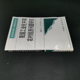 我国工业化中期农村经济问题研究