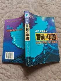 营销在中国 2001营销报告