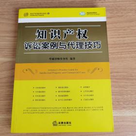 知识产权诉讼案例与代理技巧