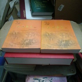 激情岁月（ 上下卷 ）