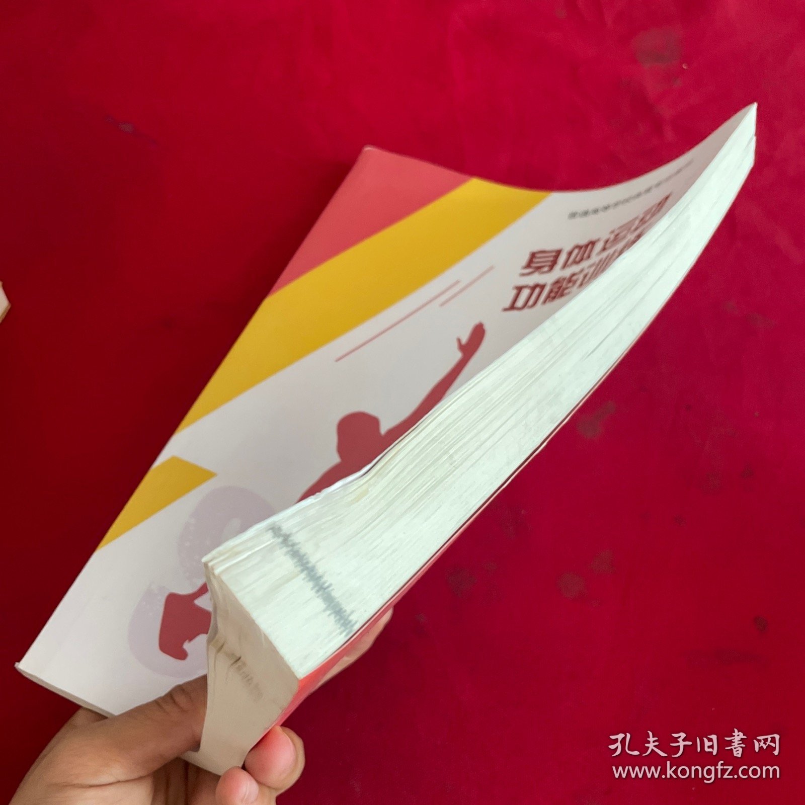 身体运动功能训练（第2版）