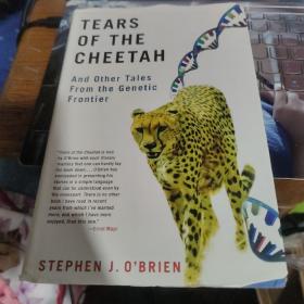 tears of the cheetah