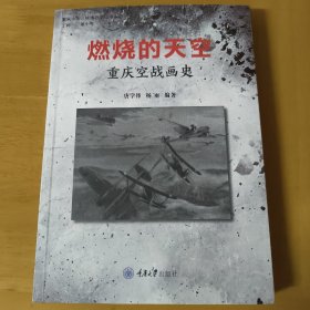燃烧的天空：重庆空战画史