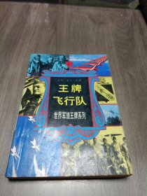 王牌飞行队