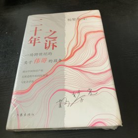 二十年之诉（揭示中国知识产权发展进程中的国际较量与复杂矛盾）未开封