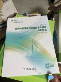 国内外能源电力企业数字化转型分析报告 2023