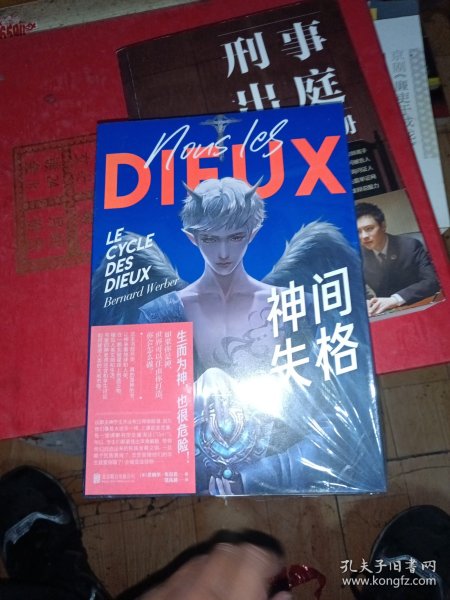 神间失格（生而为神，也很危险！如果你是神，世界可以任由你打造，你会怎么做？一场以“地球”为实验的创世游戏，惊险刺激、脑洞大开！）