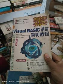 VISUAL BASIC语言简明教程