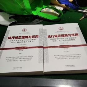 正版- 执行规范理解与适用：民事诉讼法与民诉法解释保全、执行条文关联解读2版(增订本)上下册