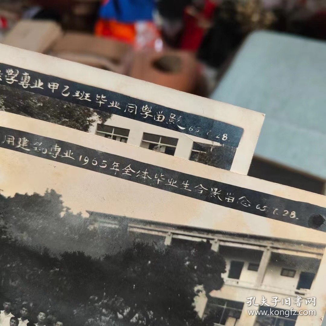 1965年华南工学院建工系照片一组，有一张底片