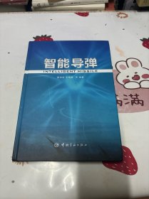 智能导弹