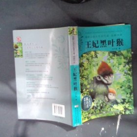 动物小说大王沈石溪品藏书系:王妃黑叶猴