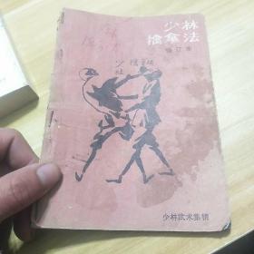 全图解李小龙寸劲拳