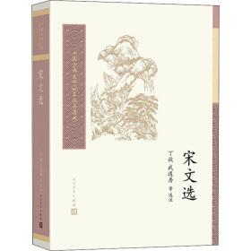 宋文选 中国古典小说、诗词 丁放，武道房等选注 新华正版